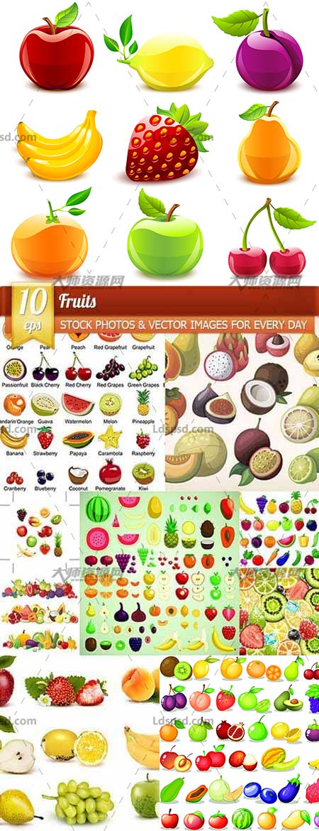 Fruits, 10 x EPS,100多种矢量的水果素材